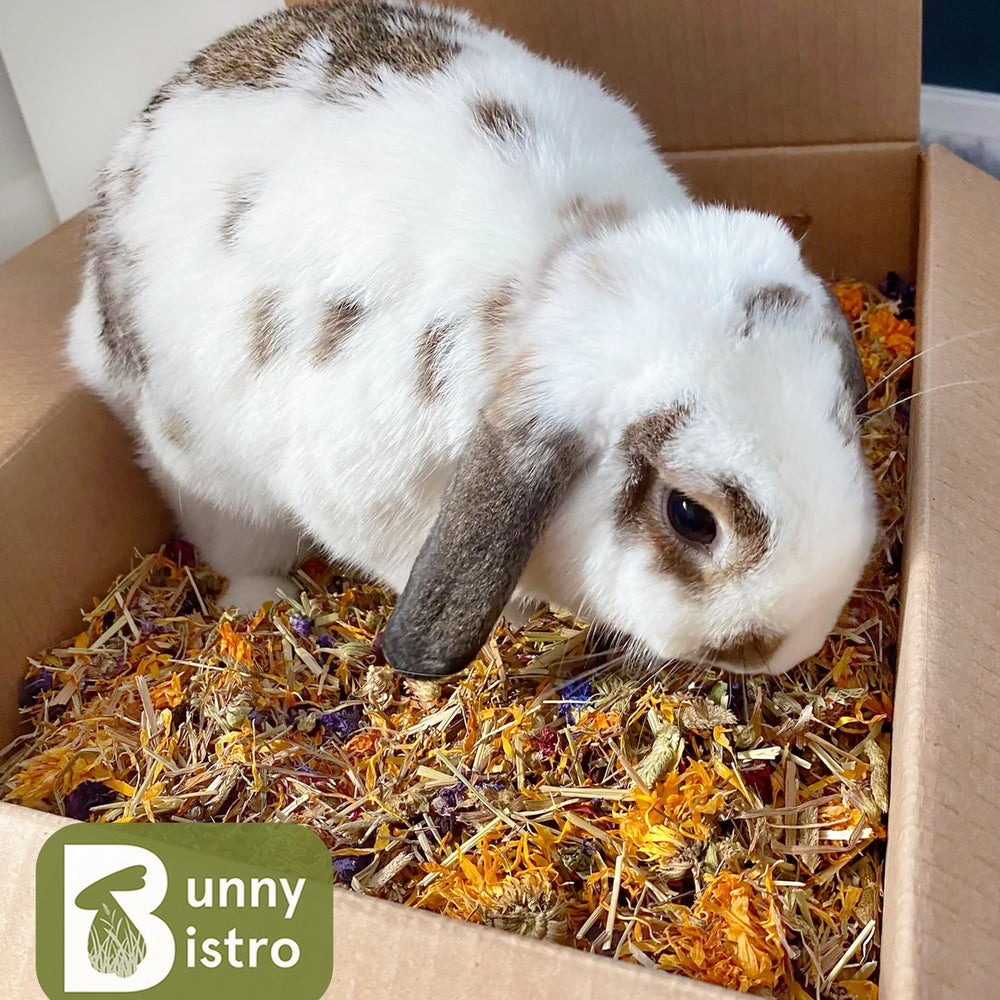 
                      
                        Botanical Hay Box - Flower & Herb
                      
                    