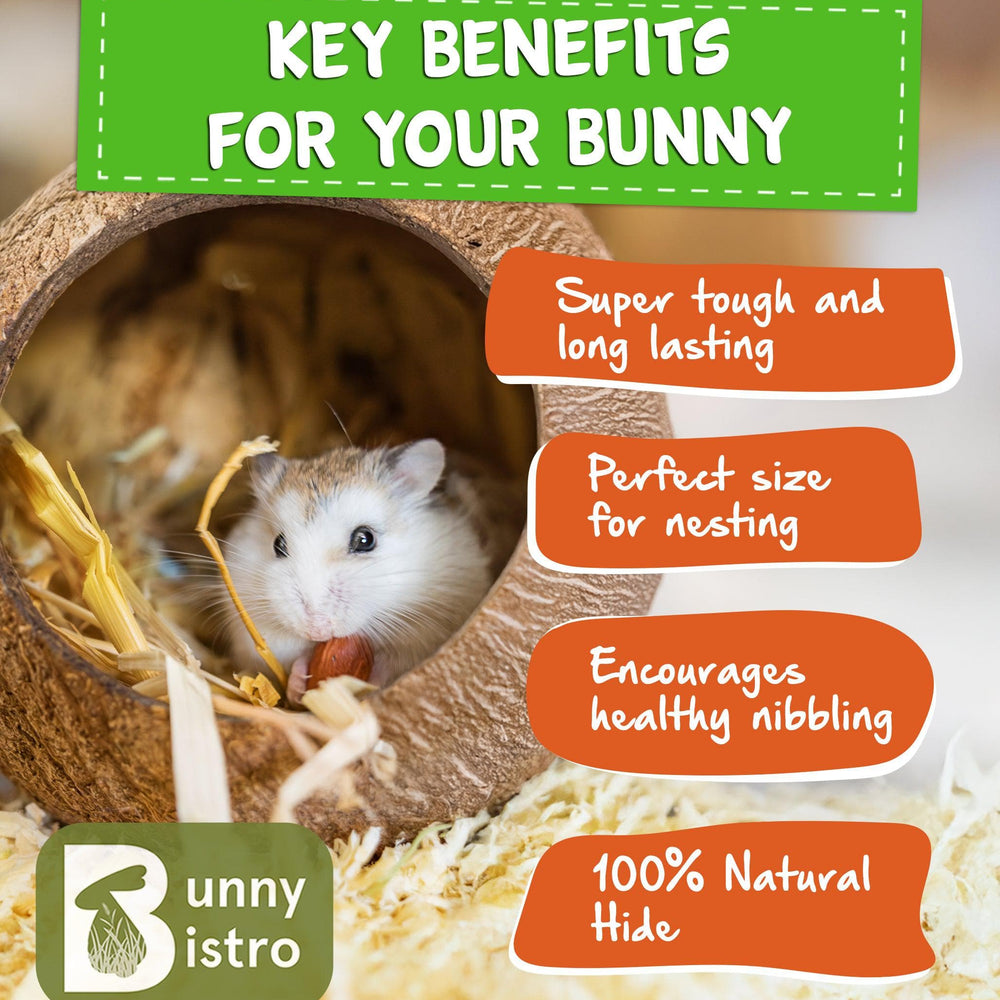 
                      
                        Bunny Bistro Coconut Hut for Small Animals
                      
                    