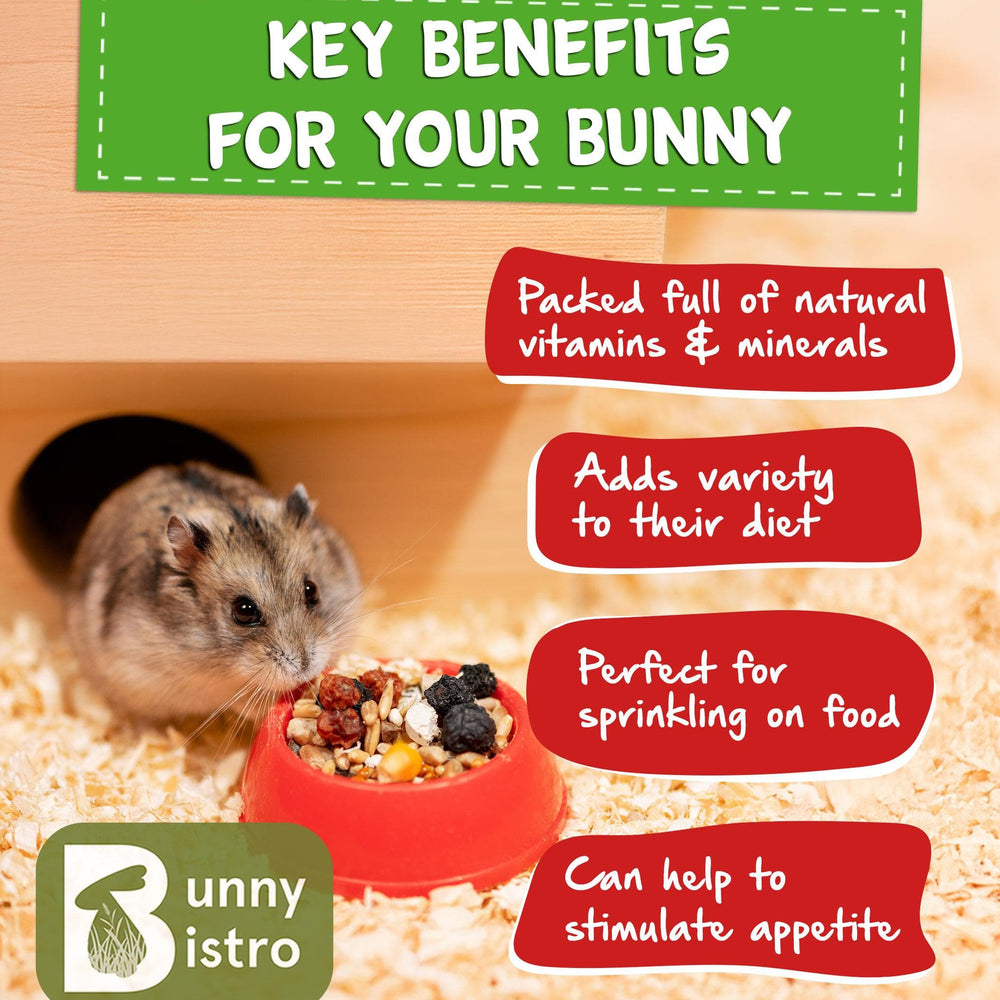 
                      
                        Bunny Bistro Fruit & Seed Hamster Treat
                      
                    