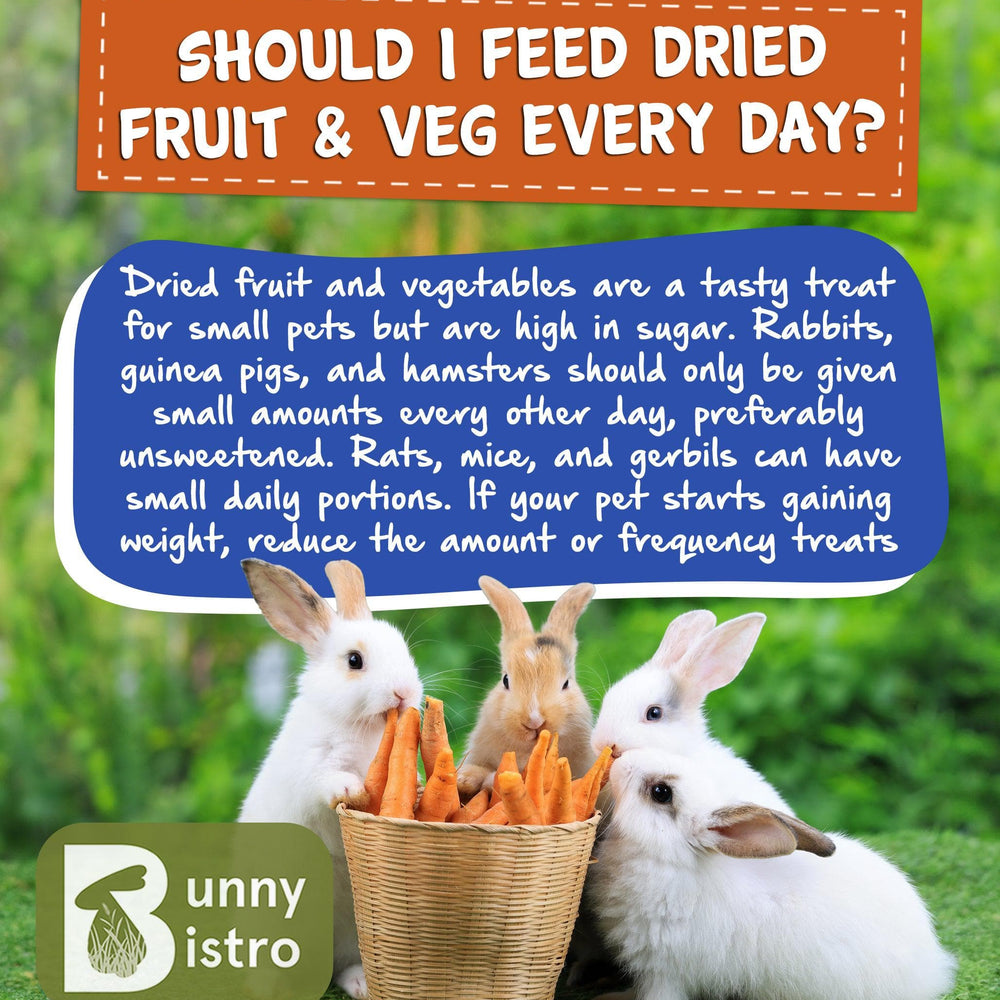 
                      
                        Bunny Bistro Fruit & Seed Hamster Treat
                      
                    