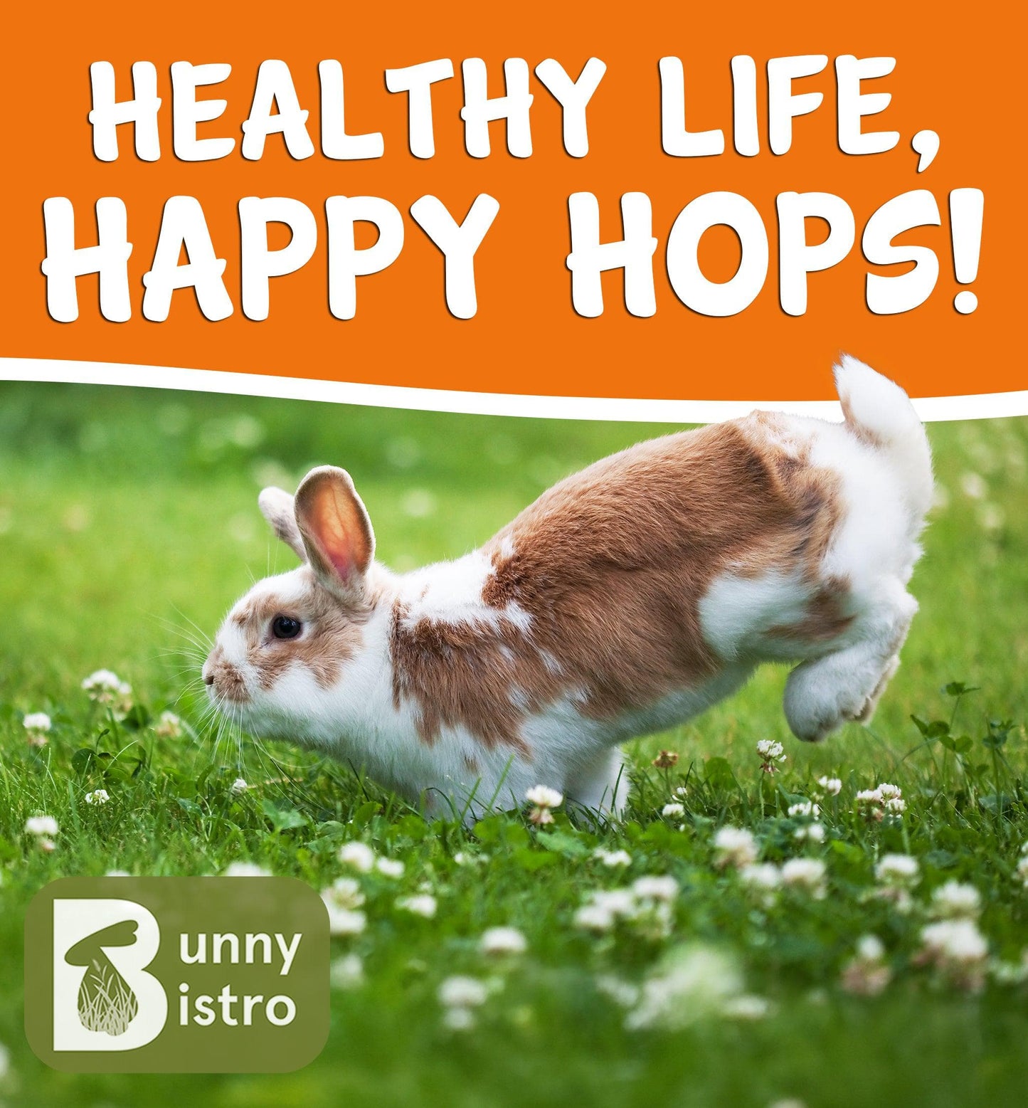 Limited Edition Spring Flower Mix | Natural Forage for Rabbits – Bunny ...