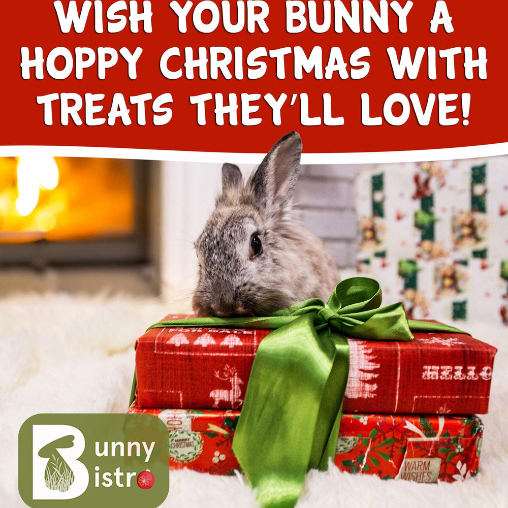 
                      
                        Bunny Bistro Monthly Forage Box - Christmas 2024
                      
                    