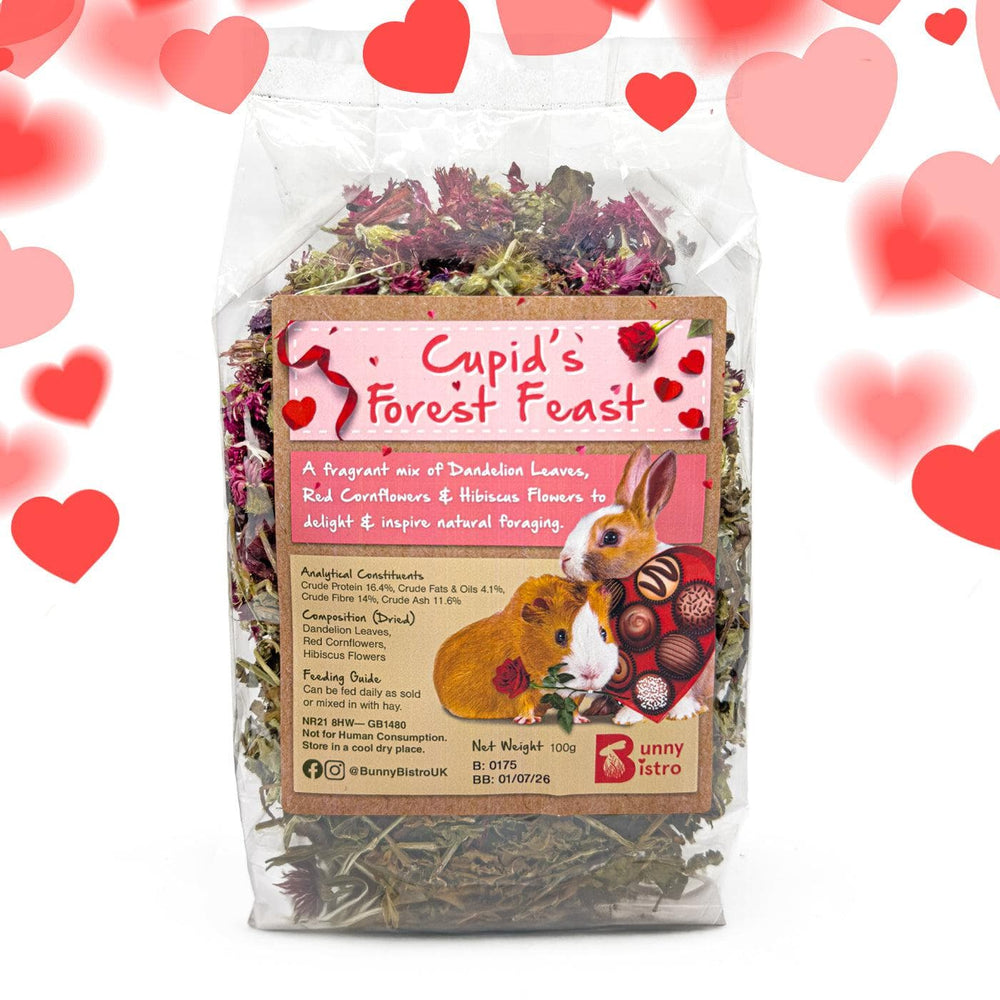 
                      
                        Bunny Bistro Monthly Forage Box - February 2025 - Happy Valentines
                      
                    