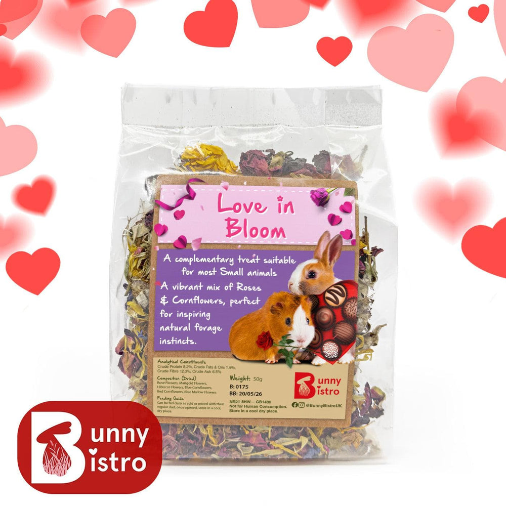 
                      
                        Bunny Bistro Monthly Forage Box - February 2025 - Happy Valentines
                      
                    