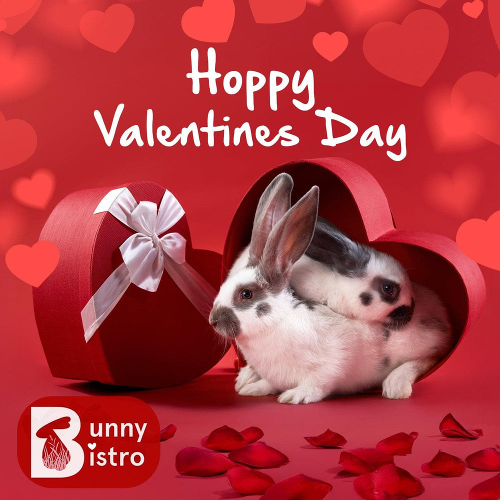 
                      
                        Bunny Bistro Monthly Forage Box - February 2025 - Happy Valentines
                      
                    