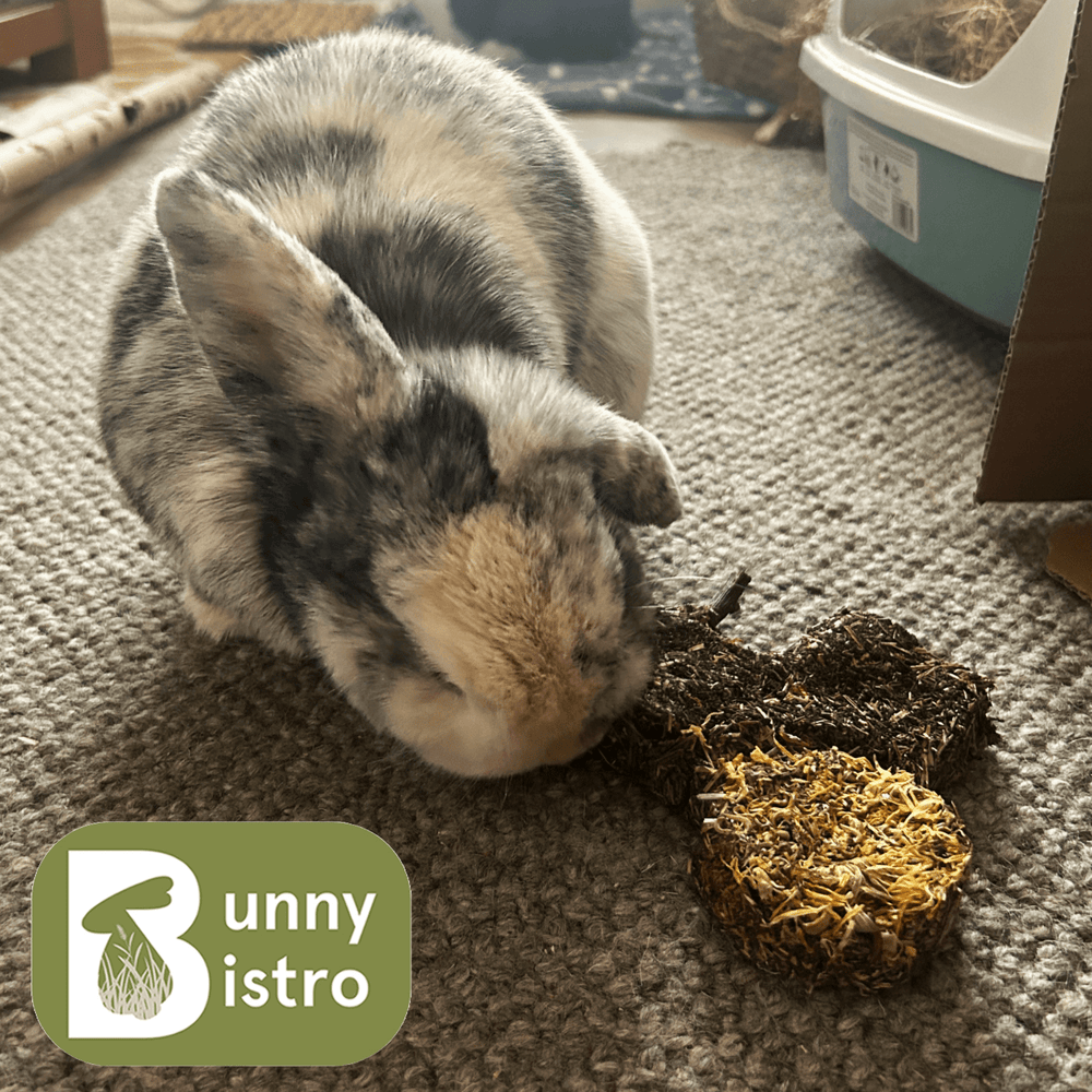 
                      
                        Bunny Bistro Tractor Forage Treat - Marigold & Dandelion
                      
                    