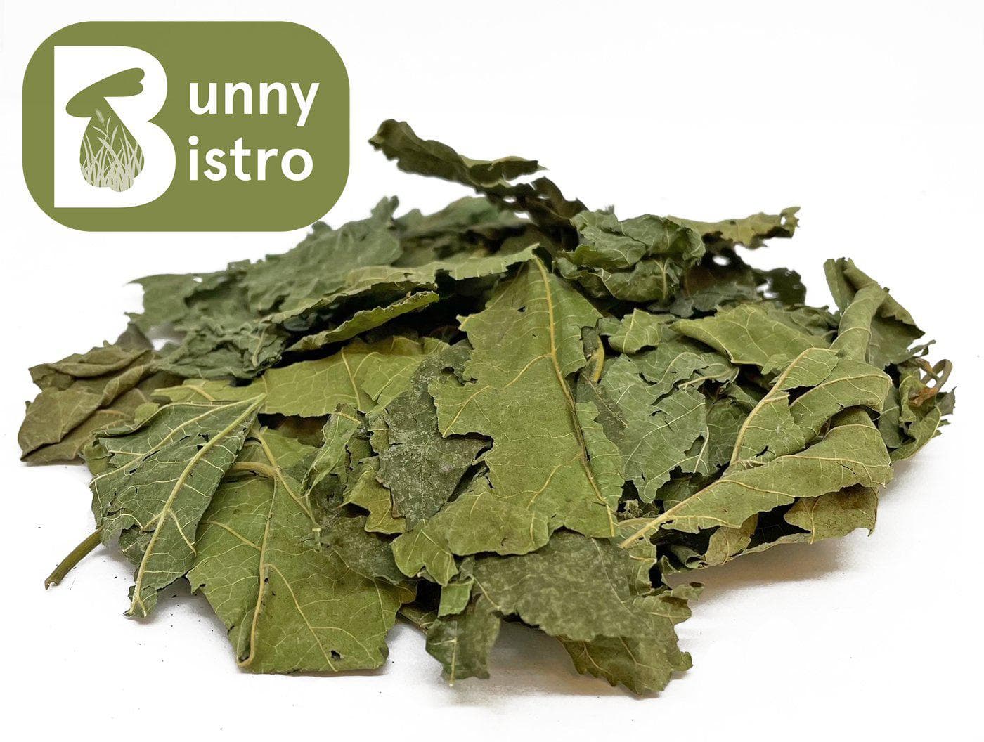 Mulberry Leaves | Rabbits and Small Animals | Bunny Bistro
